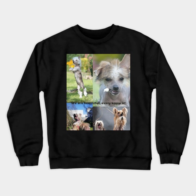 We are beautiful, everyone knows it! Crewneck Sweatshirt by Cool Animal Apparel